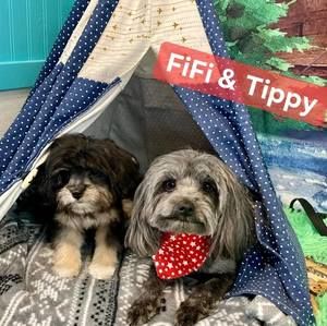 Meet your Posher, Cheryl